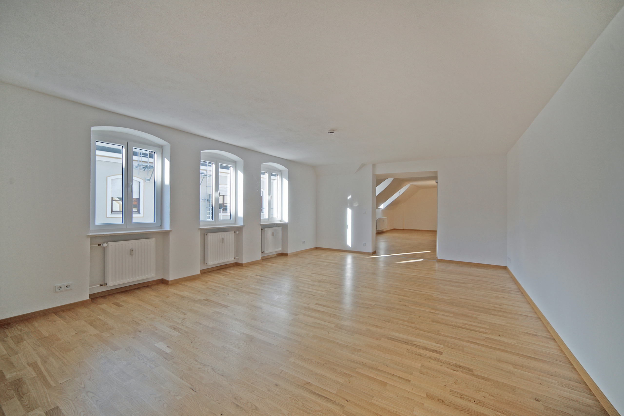 Loft 5