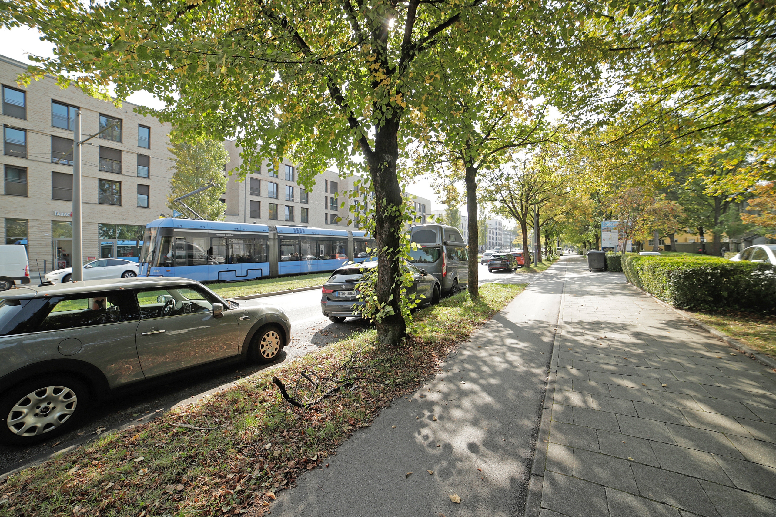 Cosimastraße