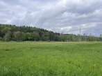 Idyllisches, großes Freizeitgrundstück in Goldbach - Burgau, Nähe Stuttgart - mit eigenem Weiher - Natur pur
