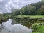 Idyllisches, großes Freizeitgrundstück in Goldbach - Burgau, Nähe Stuttgart - mit eigenem Weiher - Grundstück mit Weiher