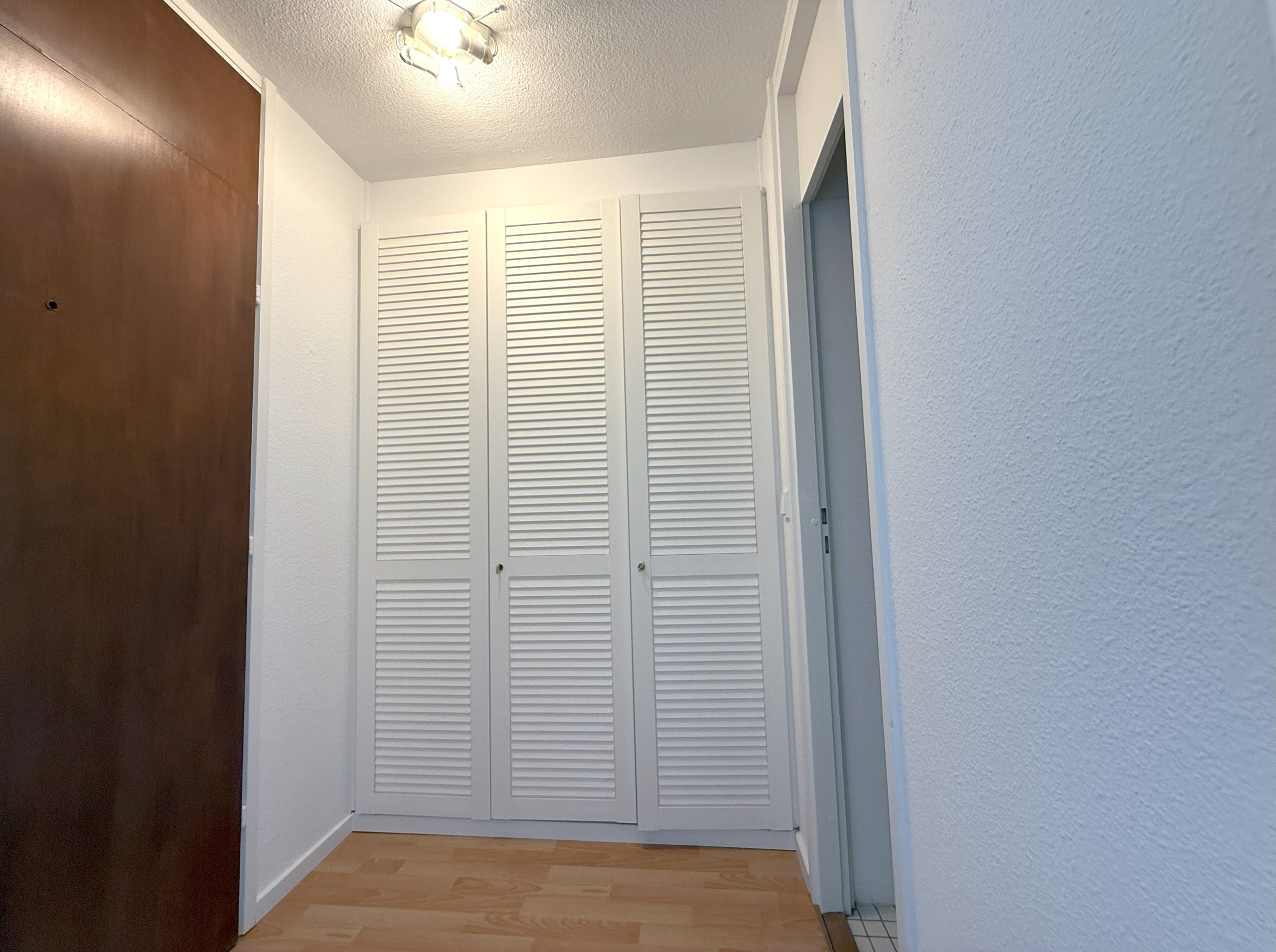 Flur mit Einbauschrank