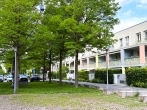 Sehr gepflegte, sonnige 3 Zimmerwohnung in grüner ruhiger Lage mit Süd u.Westbalkon in Milbertshofen - Aussenanlagen