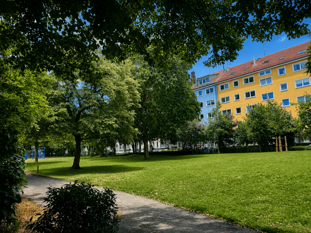 Calisthenics Park